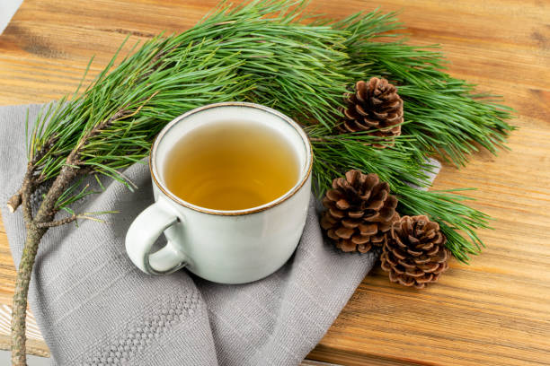istock Pine Needles Tea, Healthy Winter Vitamin C Beverage 1284025018