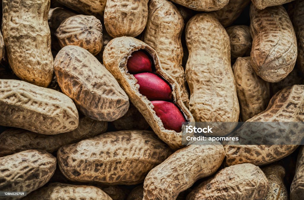 Background of a large group of Peanuts Peanut - Food Stock Photo