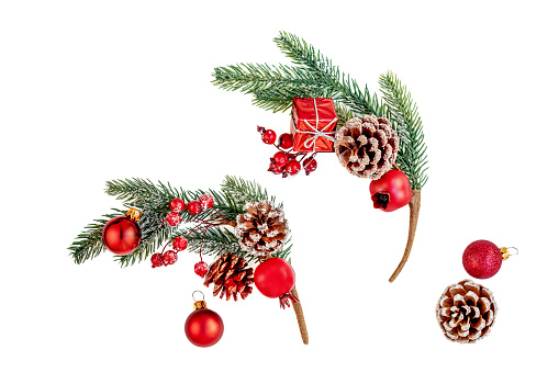 Christmas Fir tree  branch with snow and  red berries on white Background.
