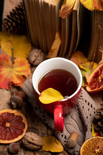 Cup of tea and autumn season symbols for cozy time at home. Flat lay top view