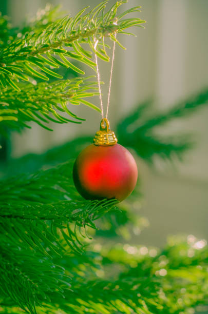 Red Christmas Ornament on a Tree in a Family Home