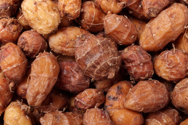 istock Close up of dry chufa nuts. 1284031738