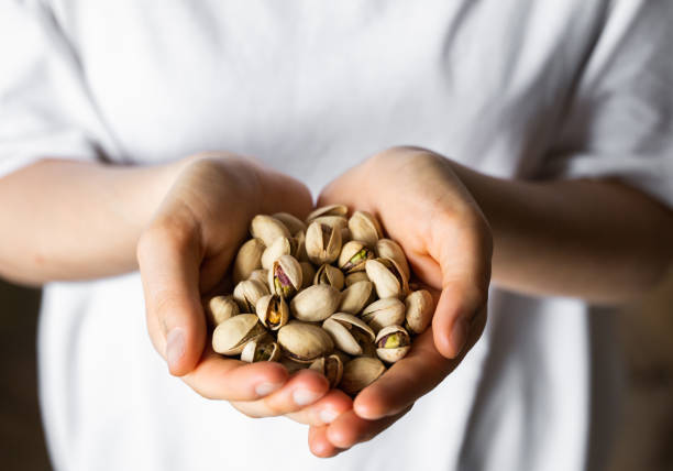 Pistachio in a womans hands. Pistachio nuts is a healthy vegetarian protein and nutritious food. Nuts in a humans hand. stock photo