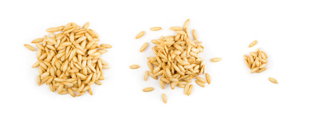 istock Dry Cantaloup Melon or Muskmelon Seeds Isolated 1284034569