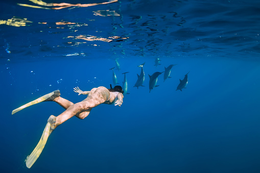 Young woman swim with dolphins in blue ocean