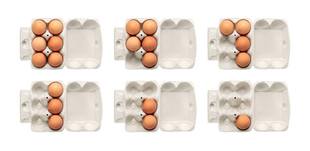 Egg Box with Chicken Eggs, Carton Pack or Egg Container Open egg box with six brown eggs isolated on white background with clipping path. Fresh organic chicken eggs in carton pack or egg container top view egg carton stock pictures, royalty-free photos & images