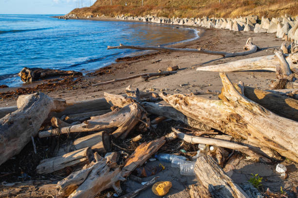 istock Plastic bottles and wastes trash pollute the beach. 1284041901