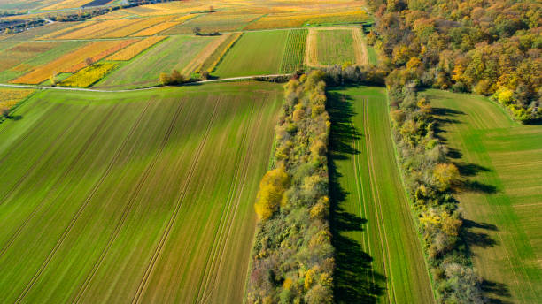 istock Autumnal agricultural area - aerial view 1284043079