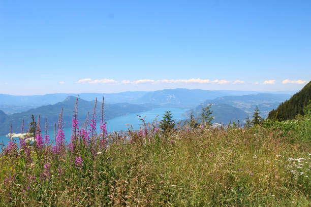 Savoie beauty