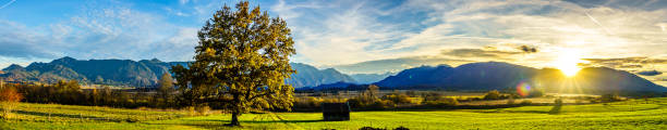 istock landscape at Murnau am Staffelsee - bavaria 1284046828