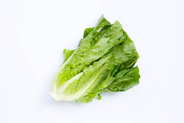 istock Fresh romaine lettuce isolated on a white background 1284049082