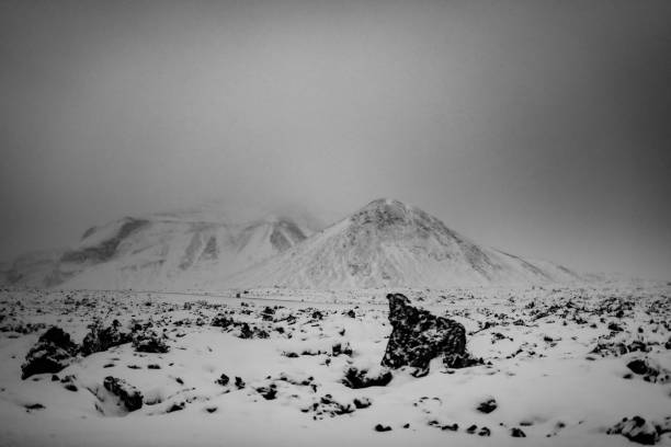 Free Stock Photo of Snow-Covered Field in Black and White | Download ...
