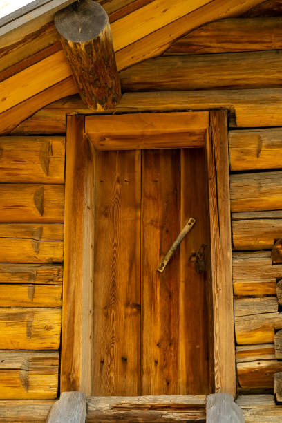 Background with a wooden door on the background of a log wall.