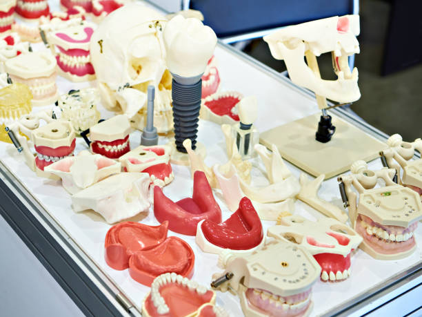 istock Artificial teeth, jaws and bones of human face head for dentistry 1284054613