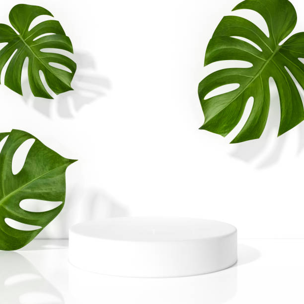 istock Product display geometry podium decorated with monstera leaves on white background 3d rendering. 3d illustration template for beauty cosmetics products minimal style concept. 1284056163
