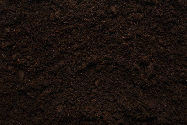 istock Black land for plant background. 1284056466