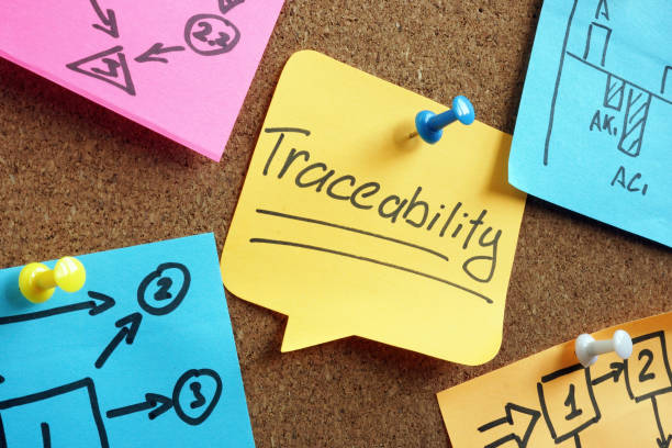 Memo stick with traceability and other with business graphs. Memo stick with traceability word and other with business graphs. traceability stock pictures, royalty-free photos & images