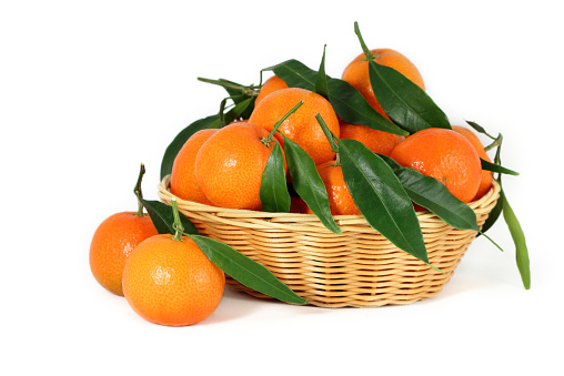 Group of fresh tangerines of Corsica France with green leafs in a basket isolated on white background.