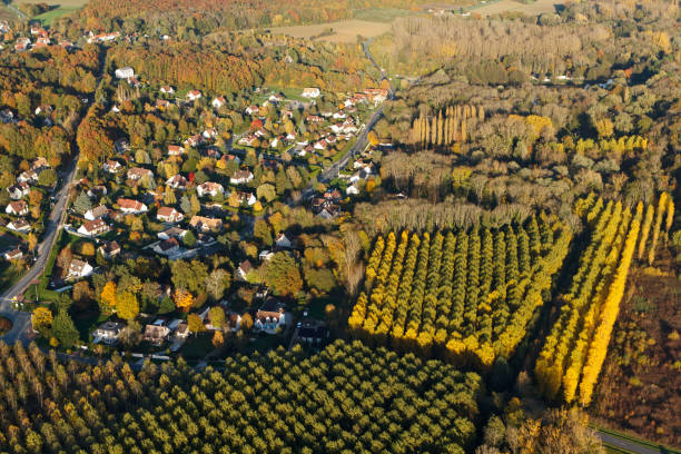 Saint-Maurice-Montcouronne the Belle Etoile seen from the sky in autumn Aerial photograph of Saint-Maurice-Montcouronne in autumn, Essonne department, Île de France region essonne stock pictures, royalty-free photos & images