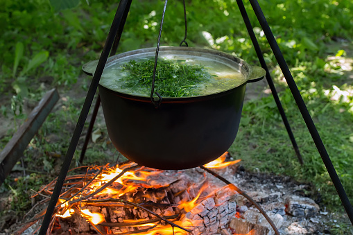 Black cauldron with soup with dill on a tripod over a bonfire on a background of green grass. fresh-soup.