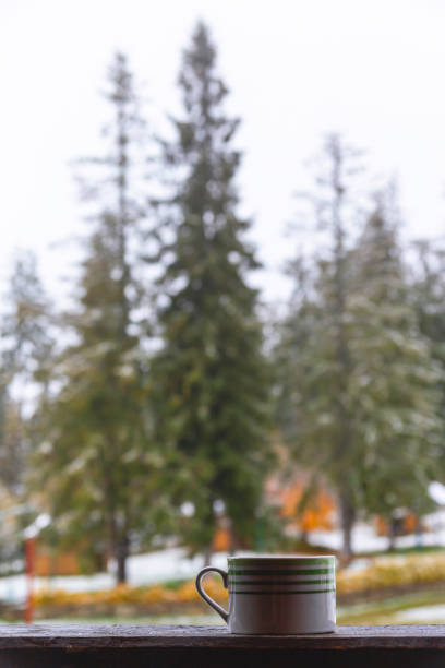 istock Morning coffee overlooking green spruces with the first snow in the mountains 1284061928