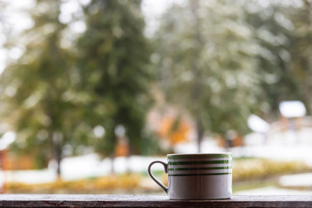 Morning coffee overlooking green spruces with the first snow in the mountains