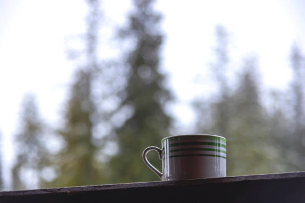 istock Morning coffee overlooking green spruces with the first snow in the mountains 1284061938
