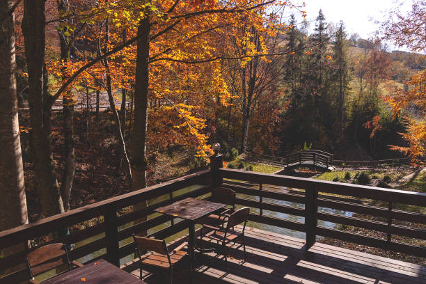 Wooden autumn terrace among golden trees overlooking a well-groomed lake