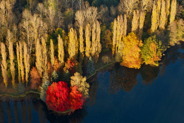 Pond and forest in autumn, Breuillet seen from the sky, France. Aerial photo of Malassis fishing ponds in autumn, commune of Breuillet, in the heart of the Remarde valley, Essonne, Ile-de-France region essonne stock pictures, royalty-free photos & images