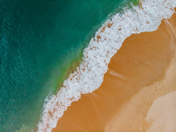 istock Martinhal Beach, Sagres, Portugal 1284063698