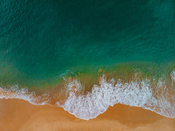 istock Martinhal Beach, Sagres, Portugal 1284063704