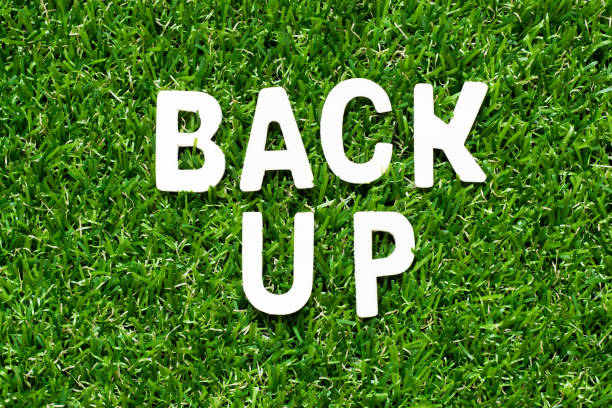 istock Wood alphabet letter in word back up on green grass background 1284063963