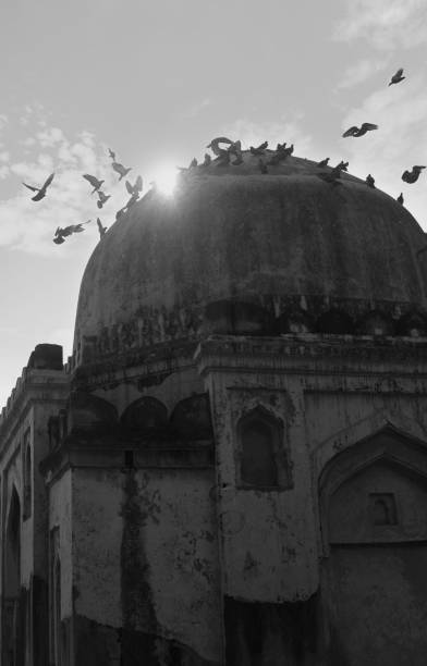 istock Historical Monument with Pigeons Flying 1284065024