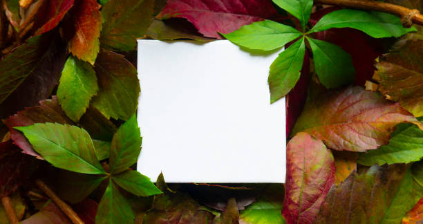 istock Creative layout made of autumn leaves with paper card note. Flat lay. Nature concept. Top view. Autumn leaf composition. 1284066564