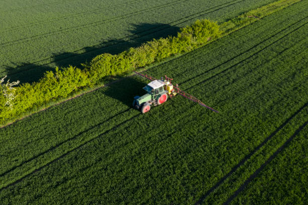 traktor im weizenfeld, luftbild - green crop tractor planting stock-fotos und bilder