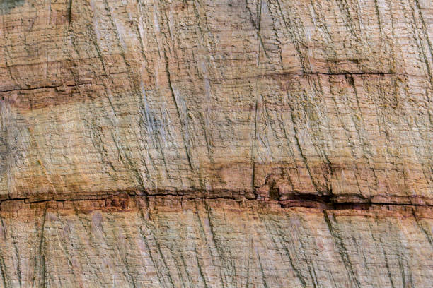 istock old nature wooden texture closeup background 1284072440