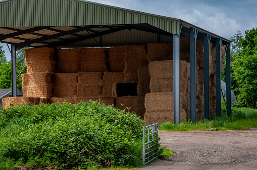 Bails of hay or straw in modern corrugated iron barn during a sunny day with an open gate in the foreground