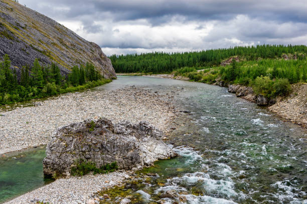 istock northern river flowing among the rocks in a forest area 1284073091