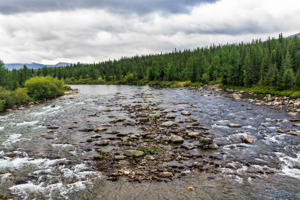 istock northern river flowing among the rocks in a forest area 1284073115