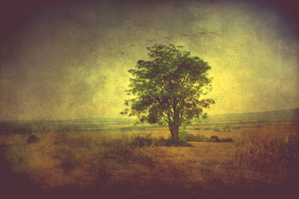 Tree in a field on a grunge background with flying birds