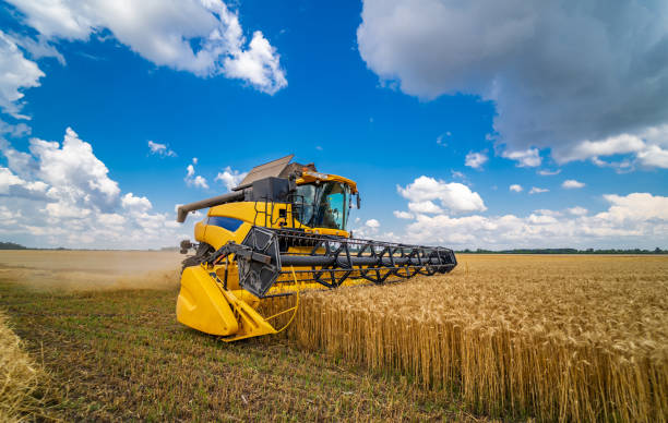 istock Agriculture machine harvesting crop in fields. Special technic in action. Agricultural technic in field. Heavy machinery. Blue sky above field. 1284076074