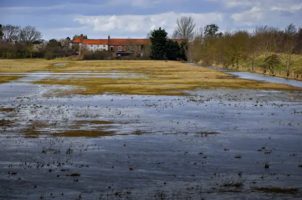 View from sea wall toward farm buildings across bird sanctuary nature reserve wetlands at Freiston Shore, near Boston in the Lincolnshire Fens