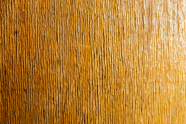 istock old peeling flat overdryed lacquered plywood texture 1284076641