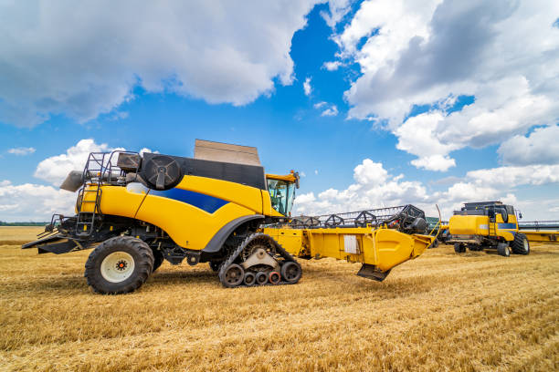 istock Agriculture machine harvesting crop in fields. Special technic in action. Aagricultural technic in field. Heavy machinery, blue sky above field. 1284077896