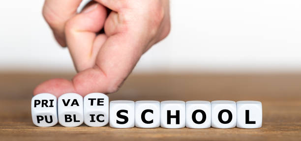 istock Private or public school? Hand turns dice and changes the expression 