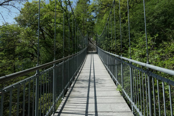istock Suspension bridge leading to the bush 1284082035