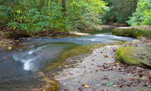 istock Stream in North Carolina's Stone Mountain Park 1284084646