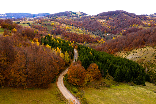 Country road through the autumn forest ,drone photography.