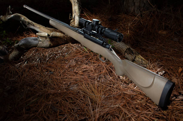 istock Hunting rifle on the forest floor 1284085275