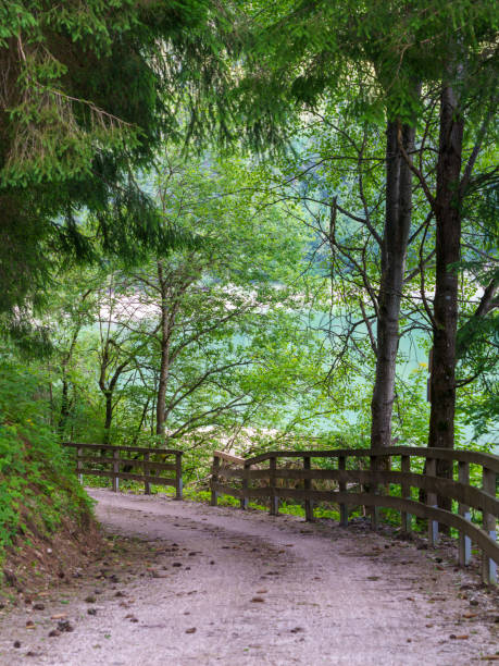 Cycleway of Pusteria valley at summer